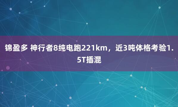 锦盈多 神行者8纯电跑221km，近3吨体格考验1.5T插混